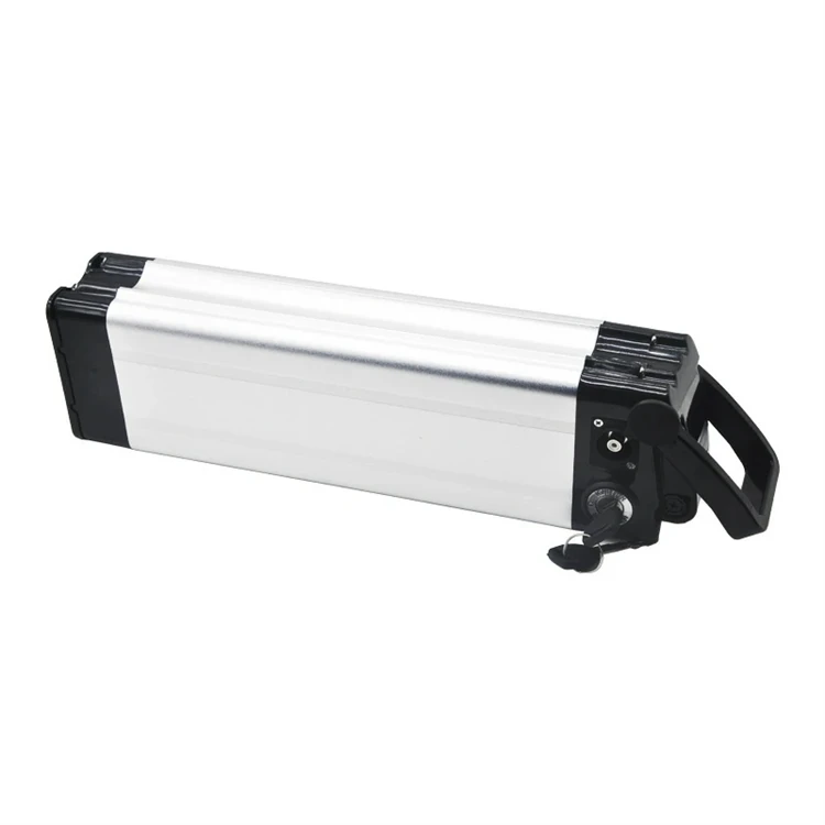 48V Gümüş Balığı Lityum Pil
