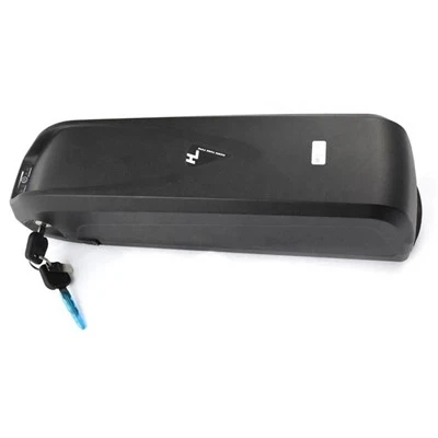 48v 20ah Hailong Battery factory